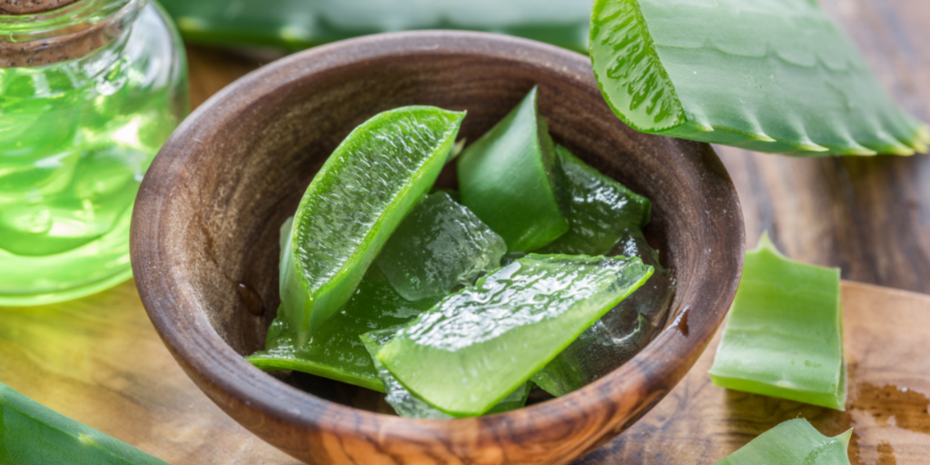 How to Grow (and use) Aloe Vera in Your Home