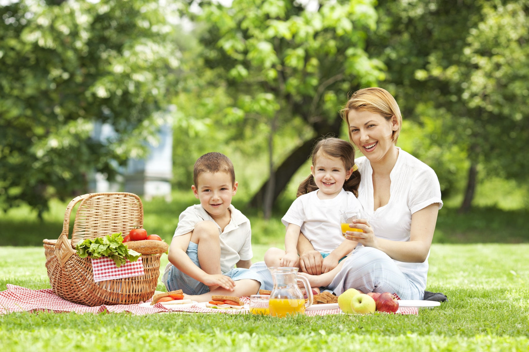 Pack the Perfect Picnic