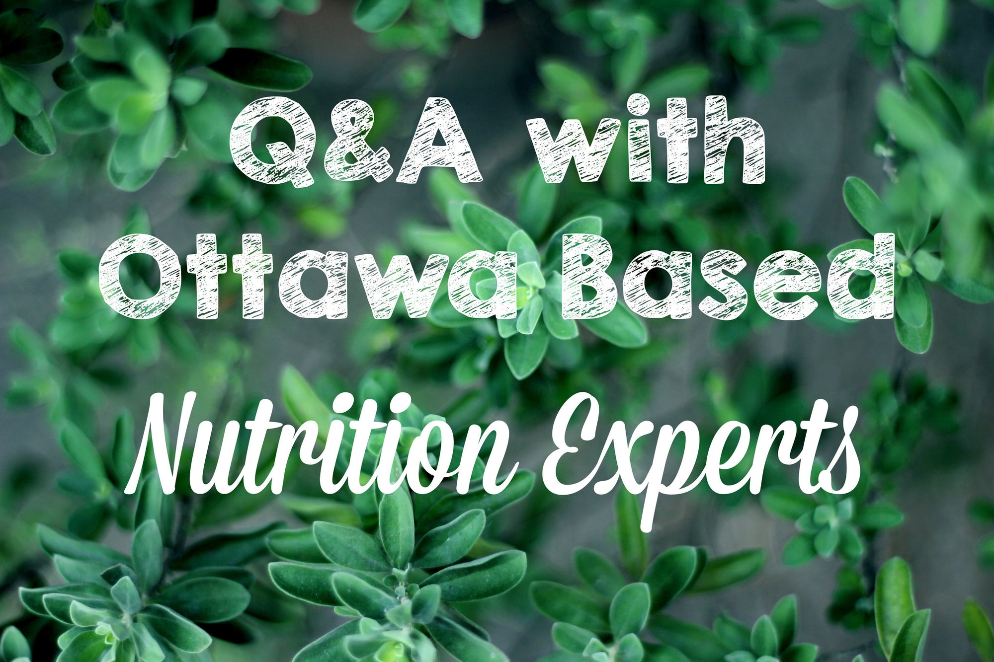 Ottawa Nutrition Experts Provide Solutions to Your Top Health Concerns🍃