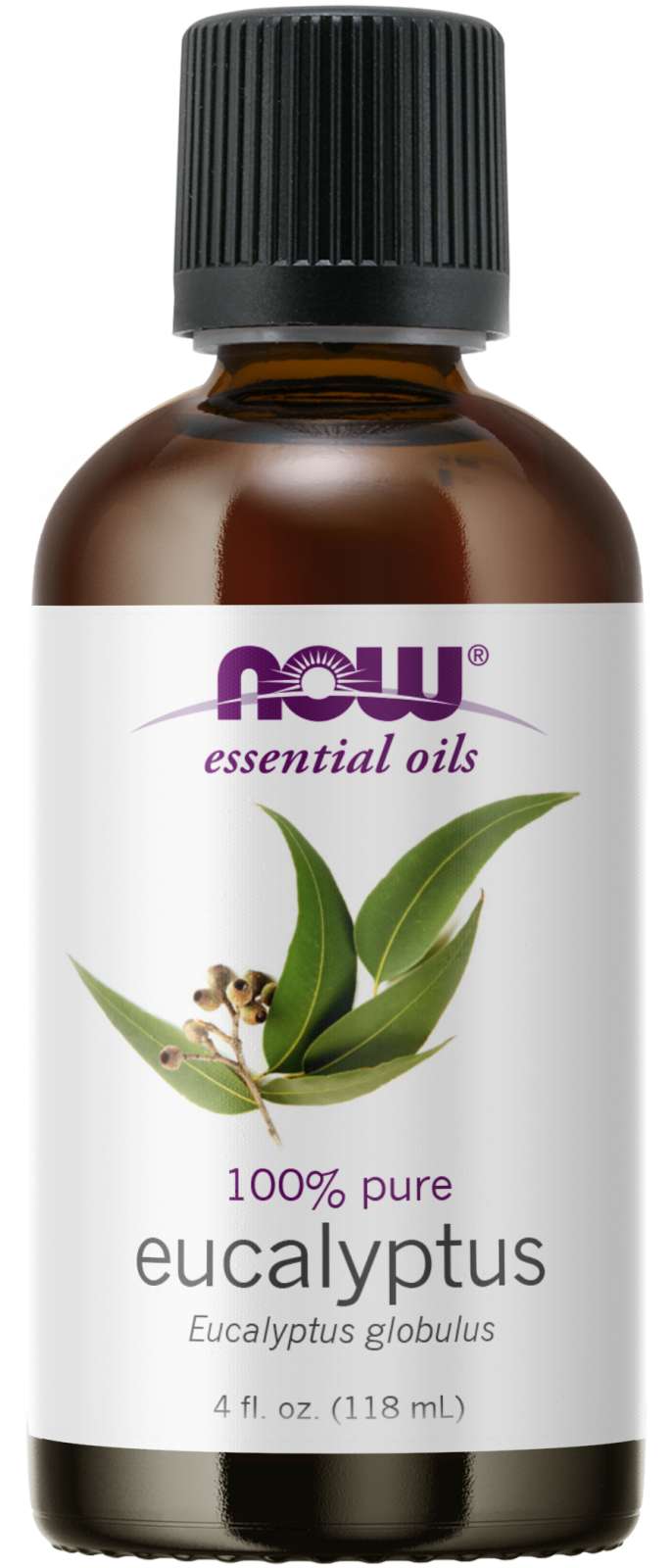 NOW Eucalyptus Oil 120ml