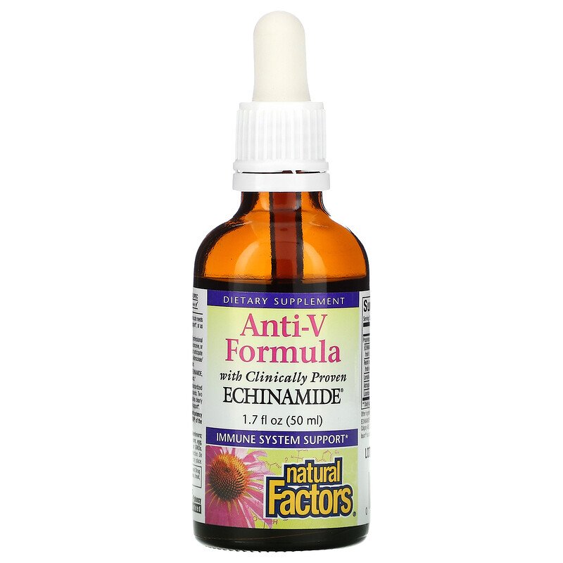 Natural Factors ECHINAMIDE ANTI VIRAL FORMULA 50ml