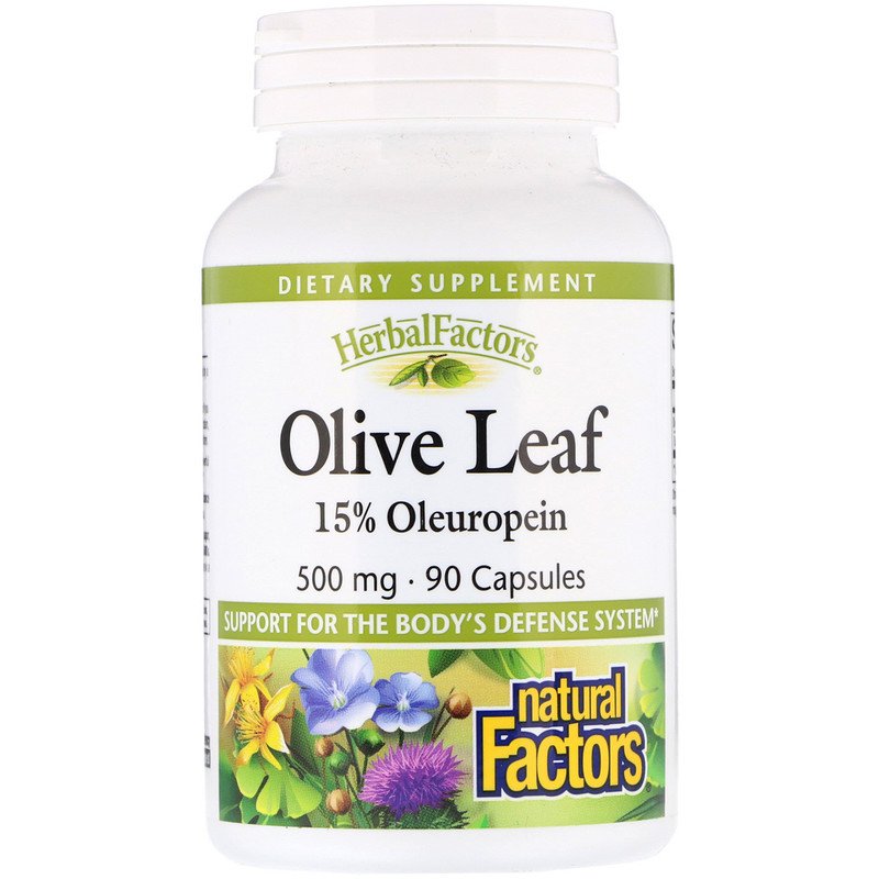 Natural Factors OLIVE LEAF EXTRACT 500mg 90units