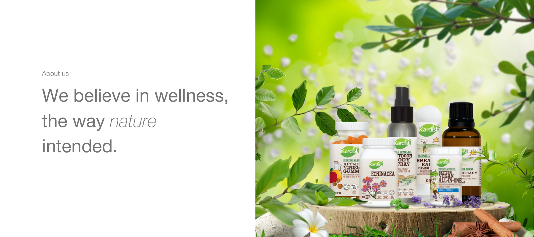 Store - Kardish Health Food Centre
