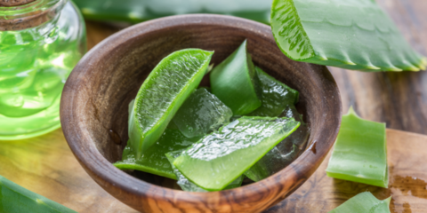 How To Grow (And Use) Aloe Vera In Your Home