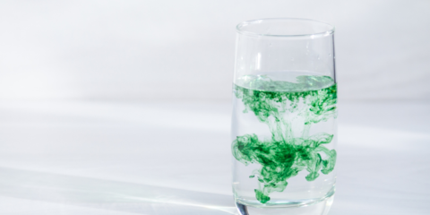 Keeping Up With Kardish: Why The Kardashians Are Drinking Chlorophyll Water