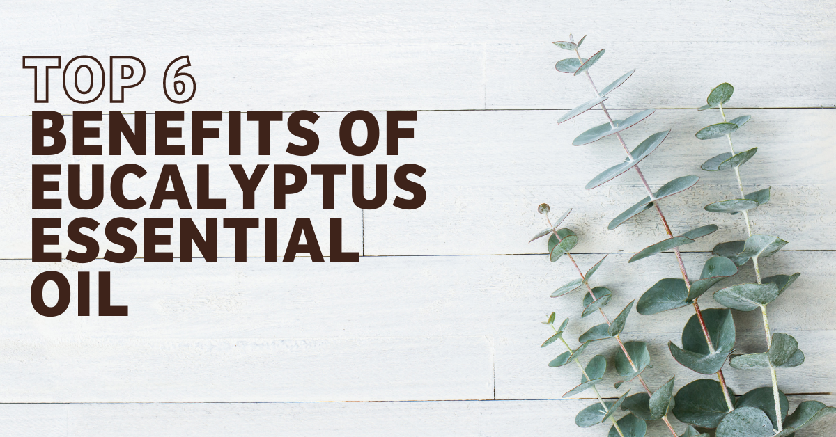 Top 6 Benefits of Eucalyptus Essential Oil