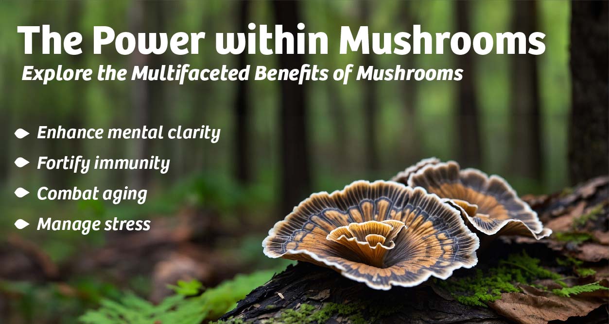 The Power within Mushrooms